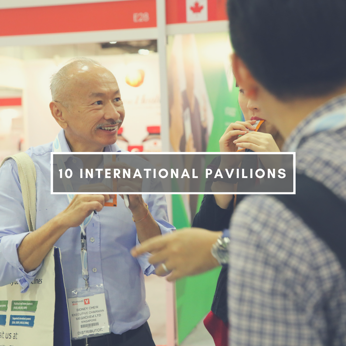 10 international pavilions