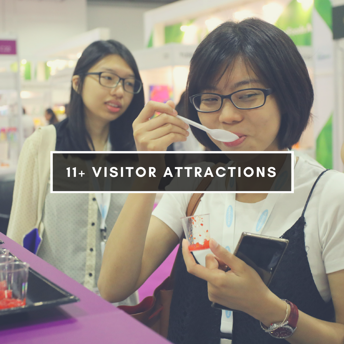 11+ visitor attractions